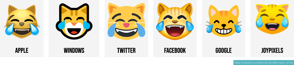 crying cat emoticon