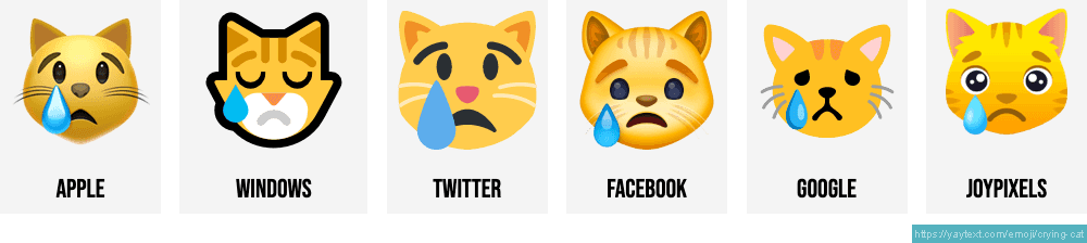 crying cat emoticon