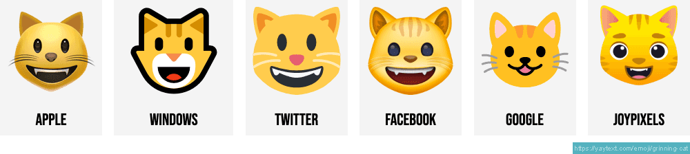 cat emoticon facebook