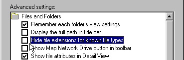 finestra di dialogo estensione file di Windows 95